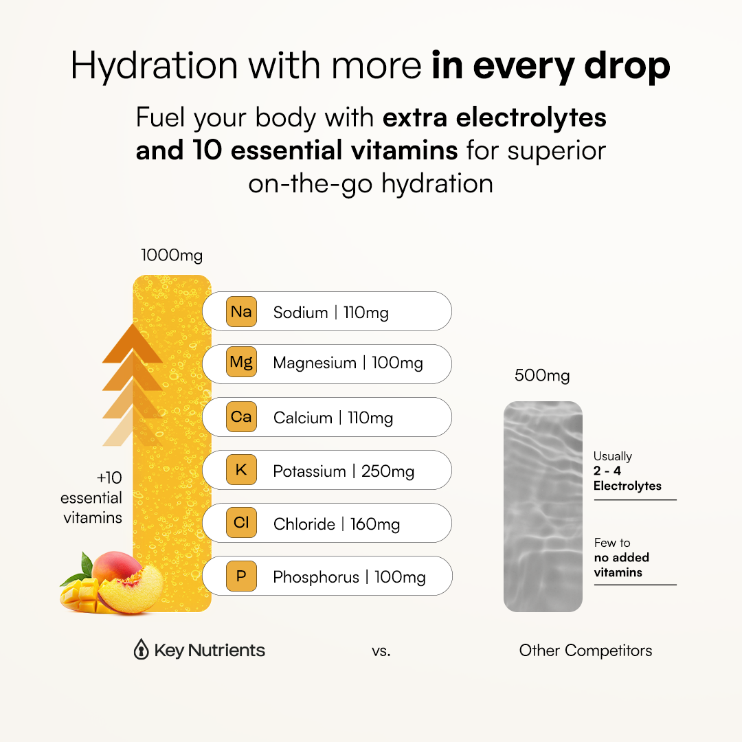 Sugar-Free Electrolyte Recovery Powder