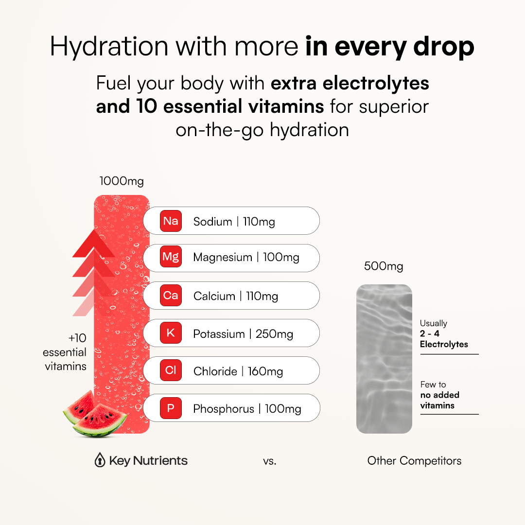 Sugar-Free Electrolyte Recovery Powder