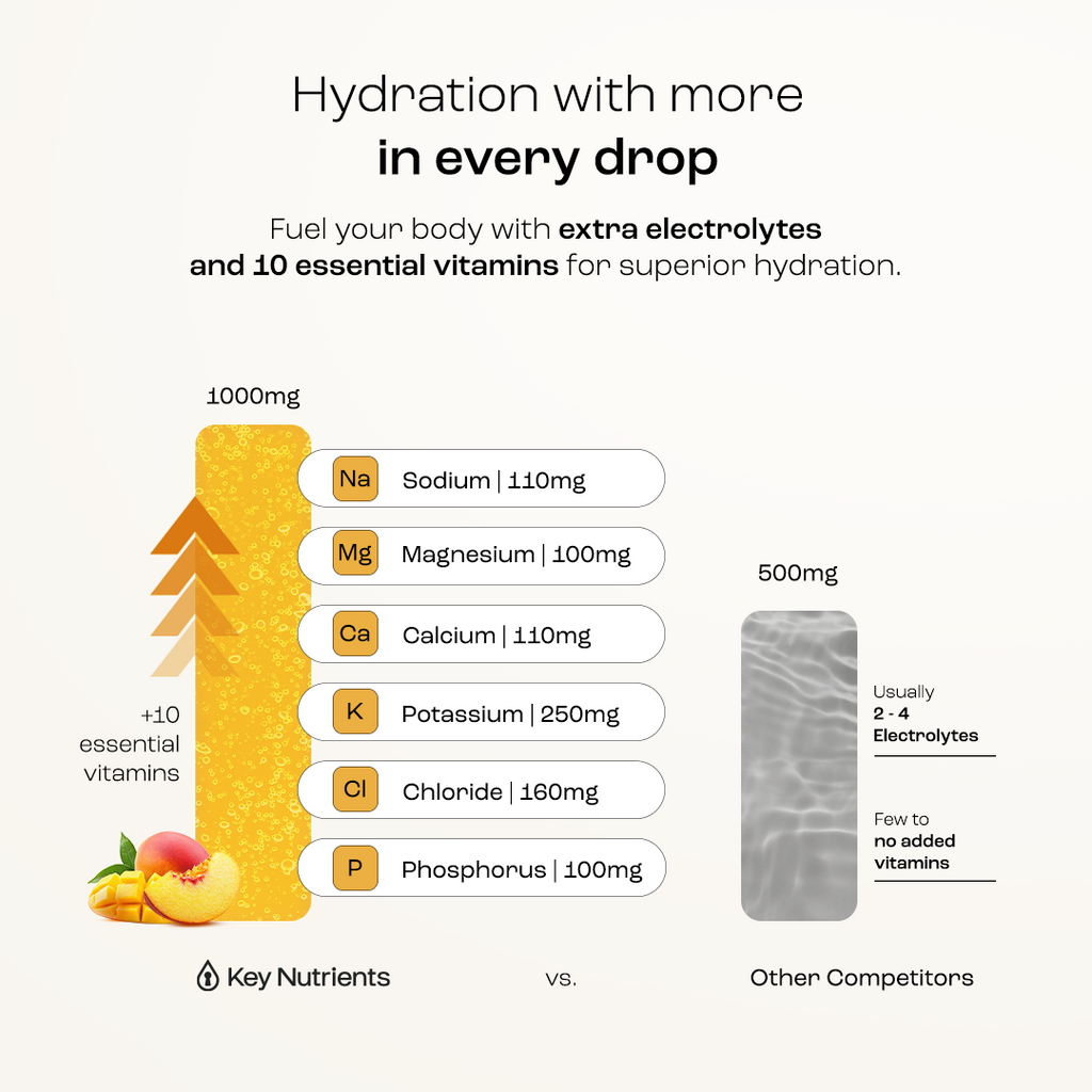 Sugar-Free Electrolyte Recovery Powder