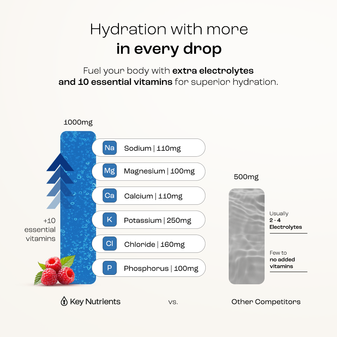 Sugar-Free Electrolyte Recovery Powder