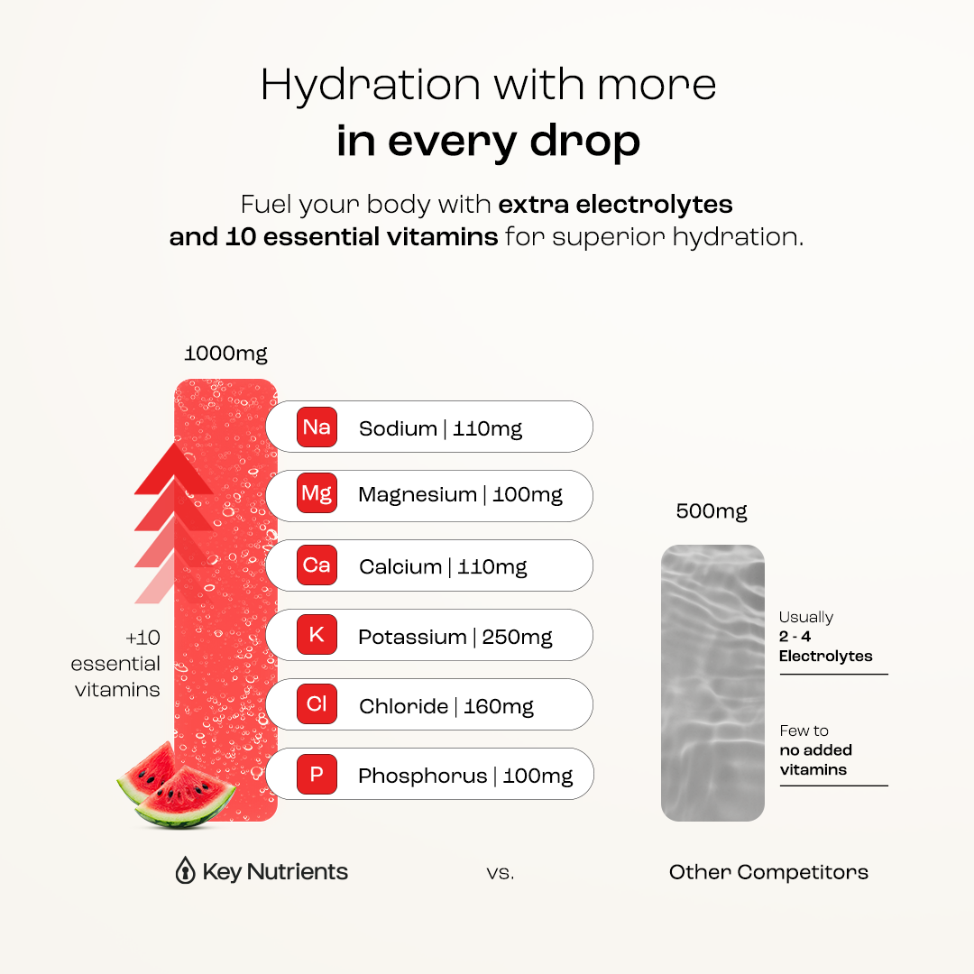 Sugar-Free Electrolyte Recovery Powder
