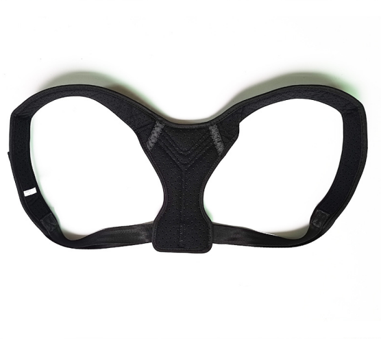 Posture Support Belt