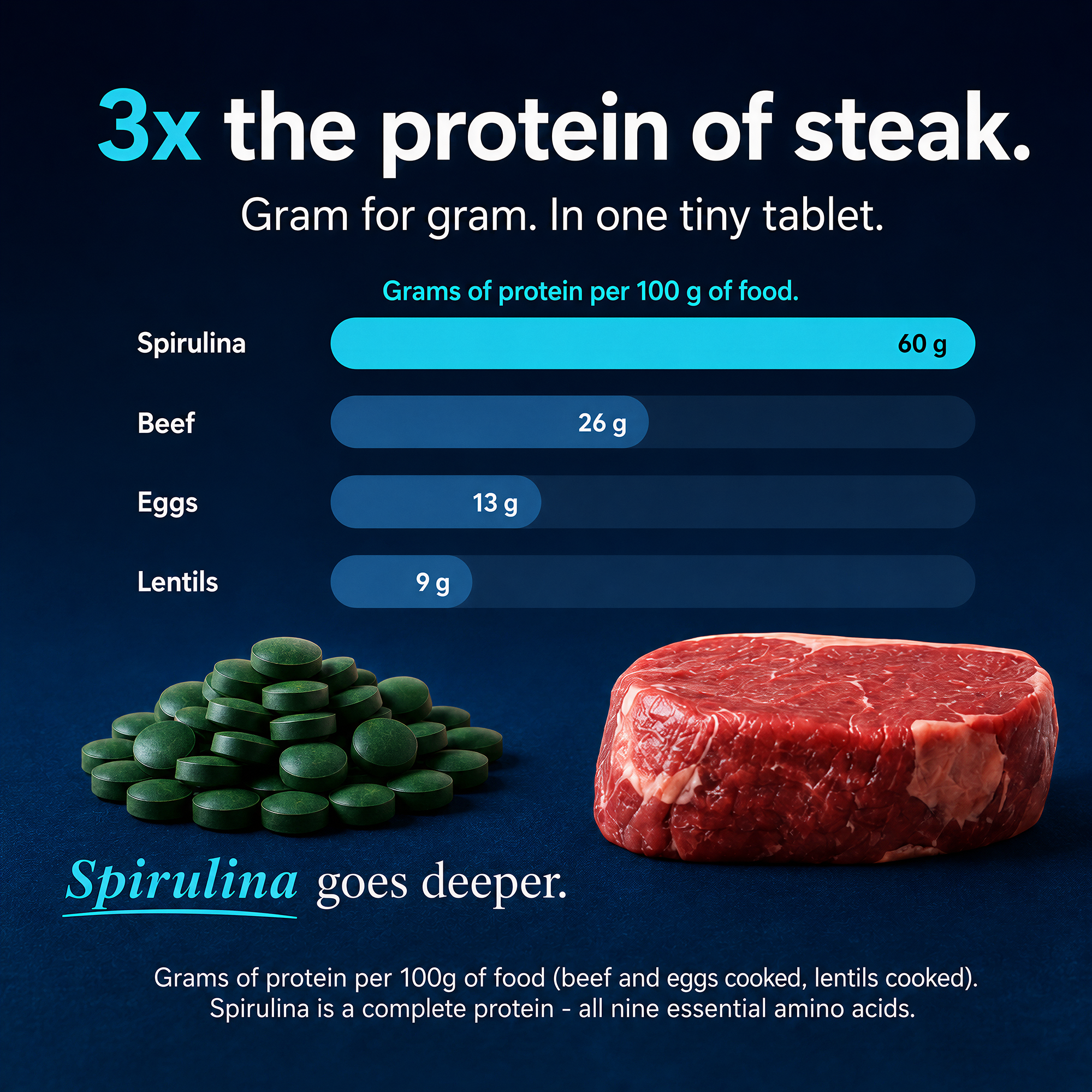 Spirulina Tablets – Large Bag