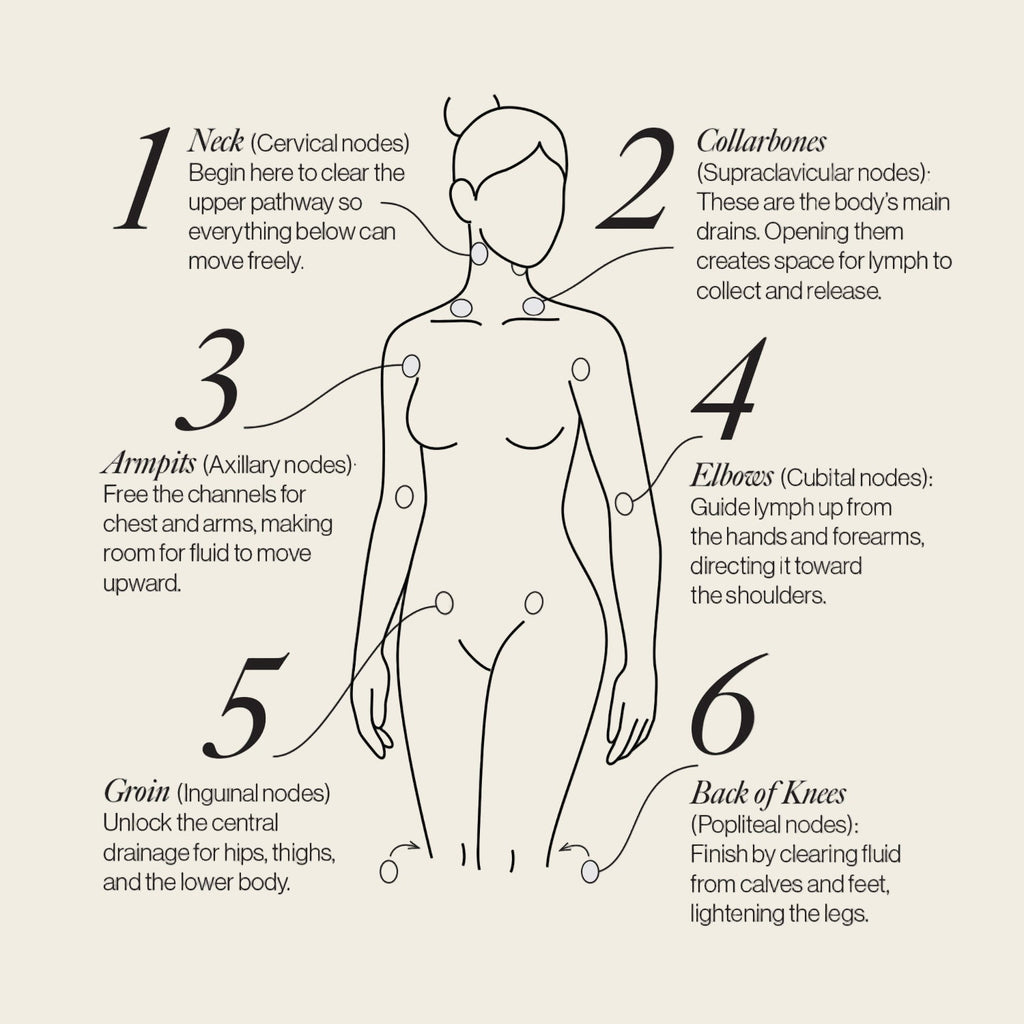 Lymphatic Support Dots