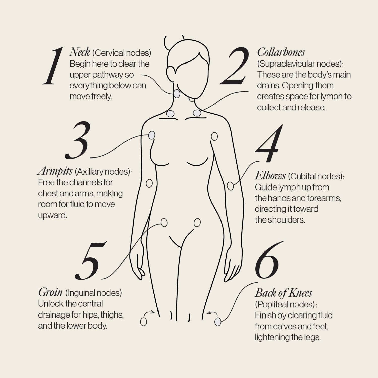 Lymphatic Support Dots