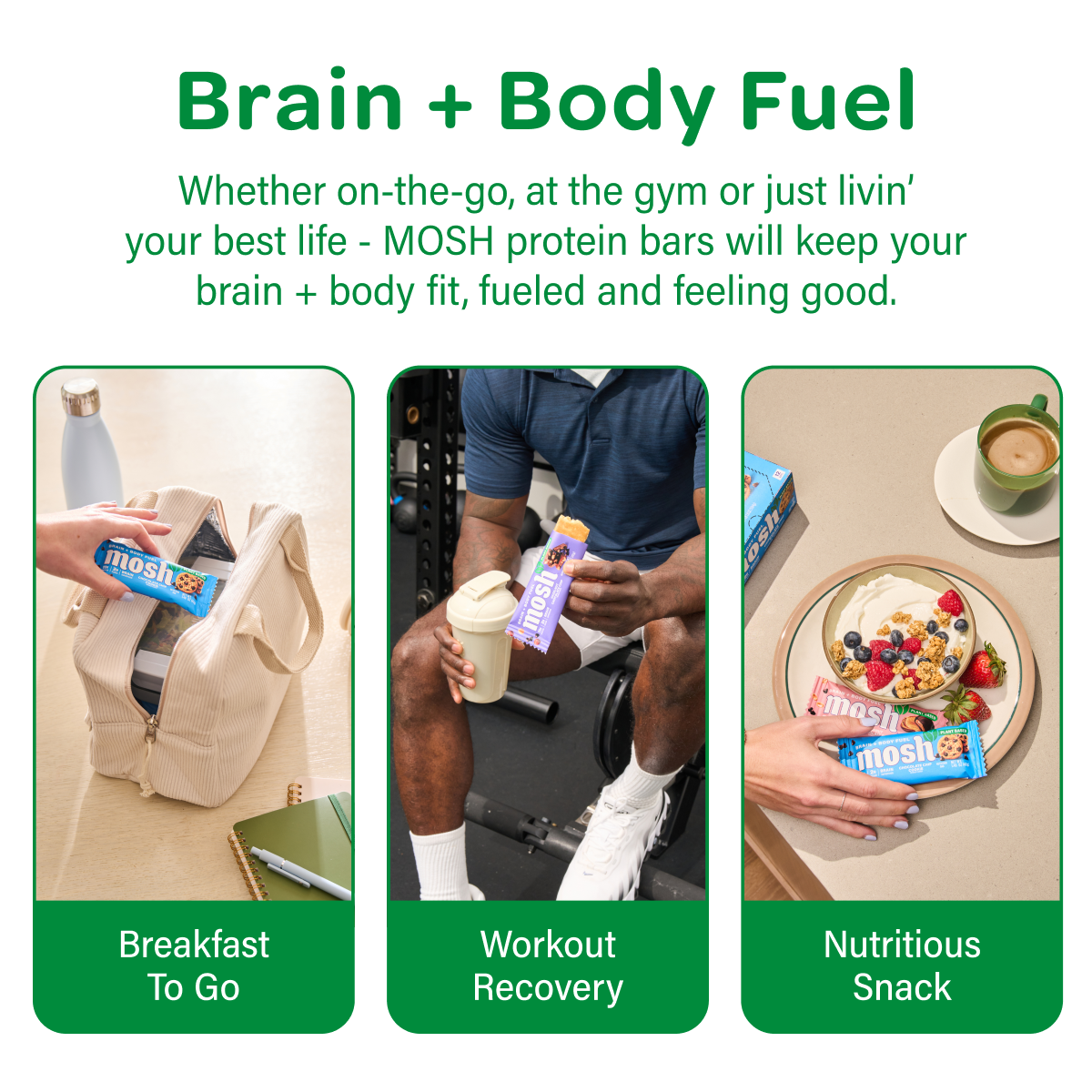 Plant Protein Bar Trial Pack