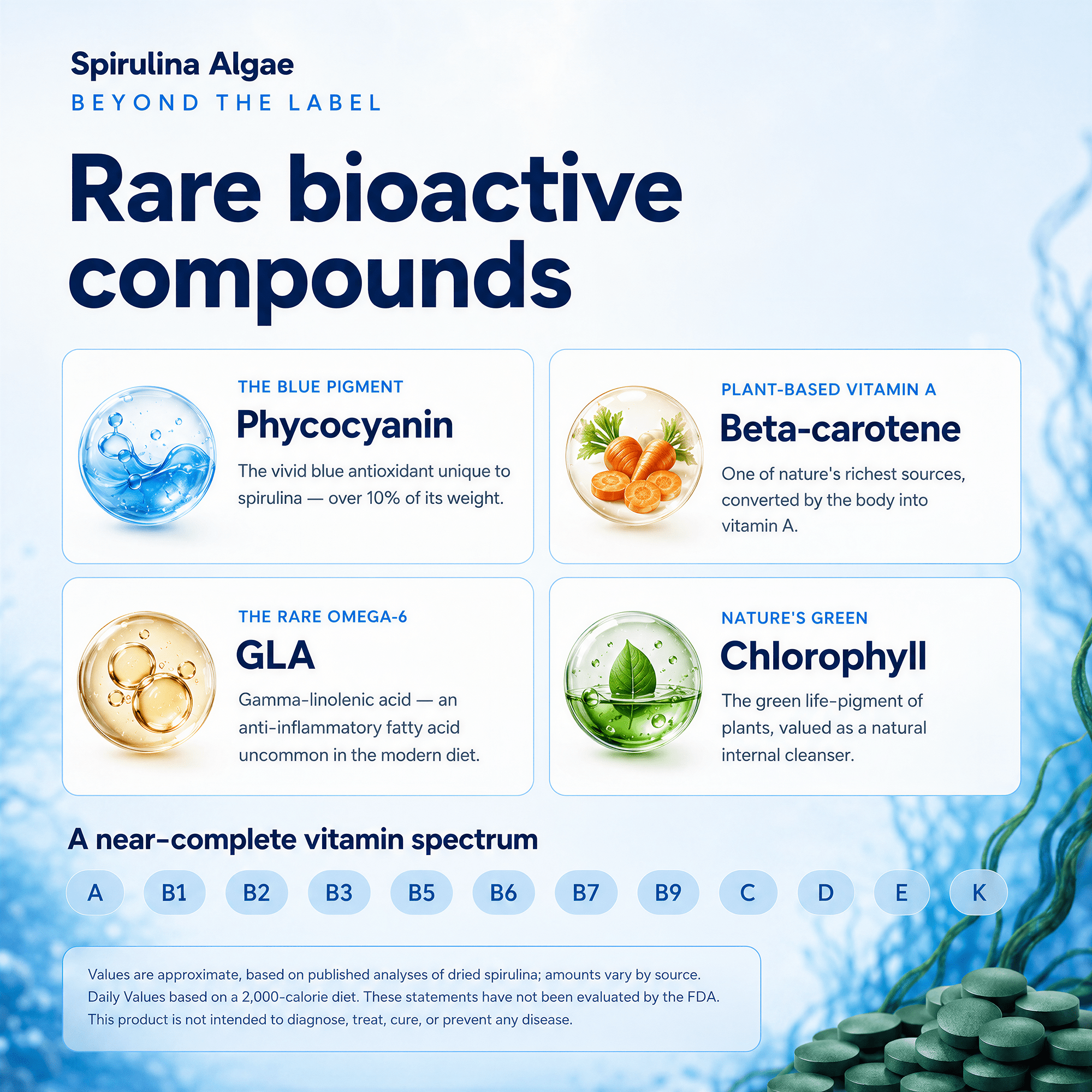 Spirulina Tablets – Large Bag