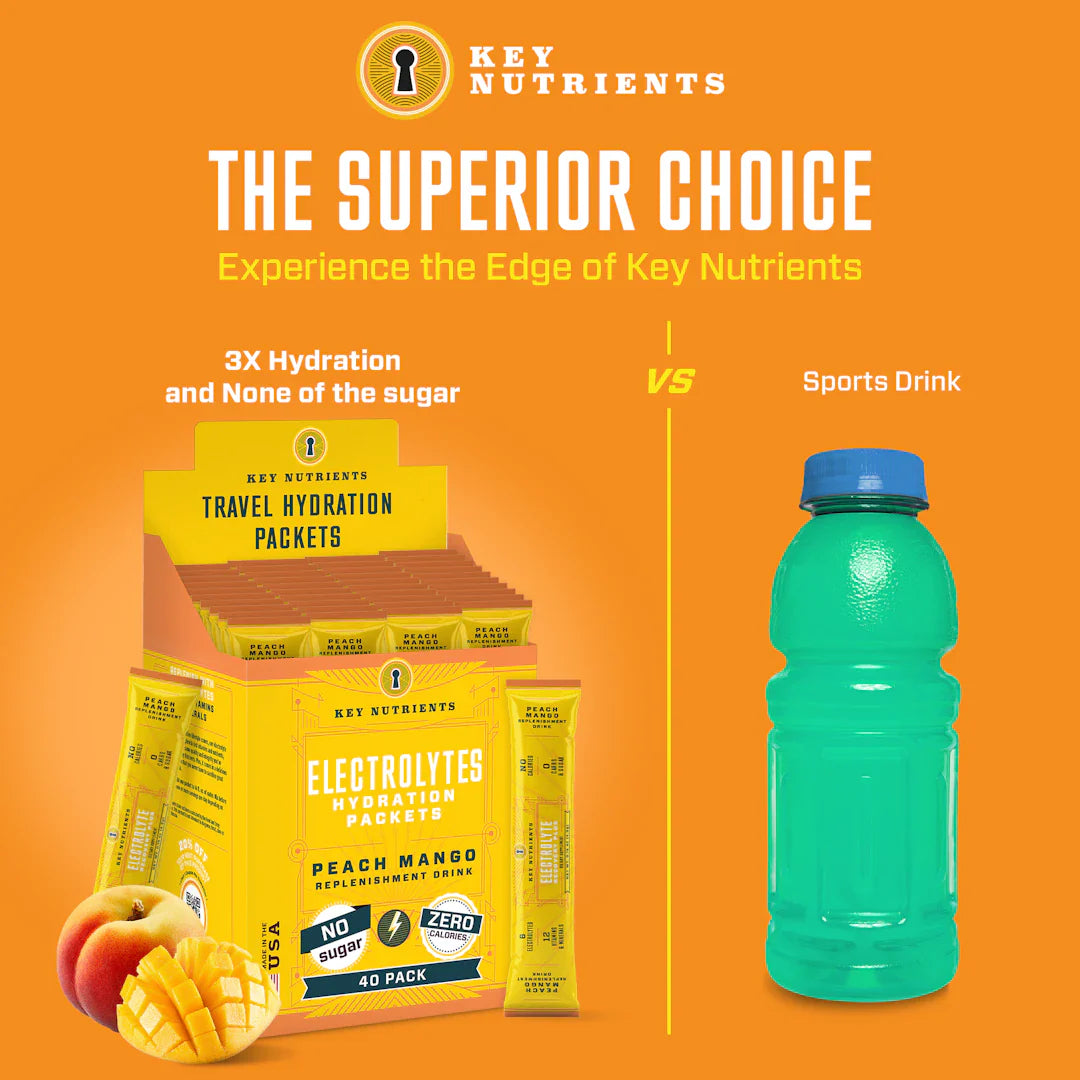 Sugar-Free Electrolyte Recovery Powder