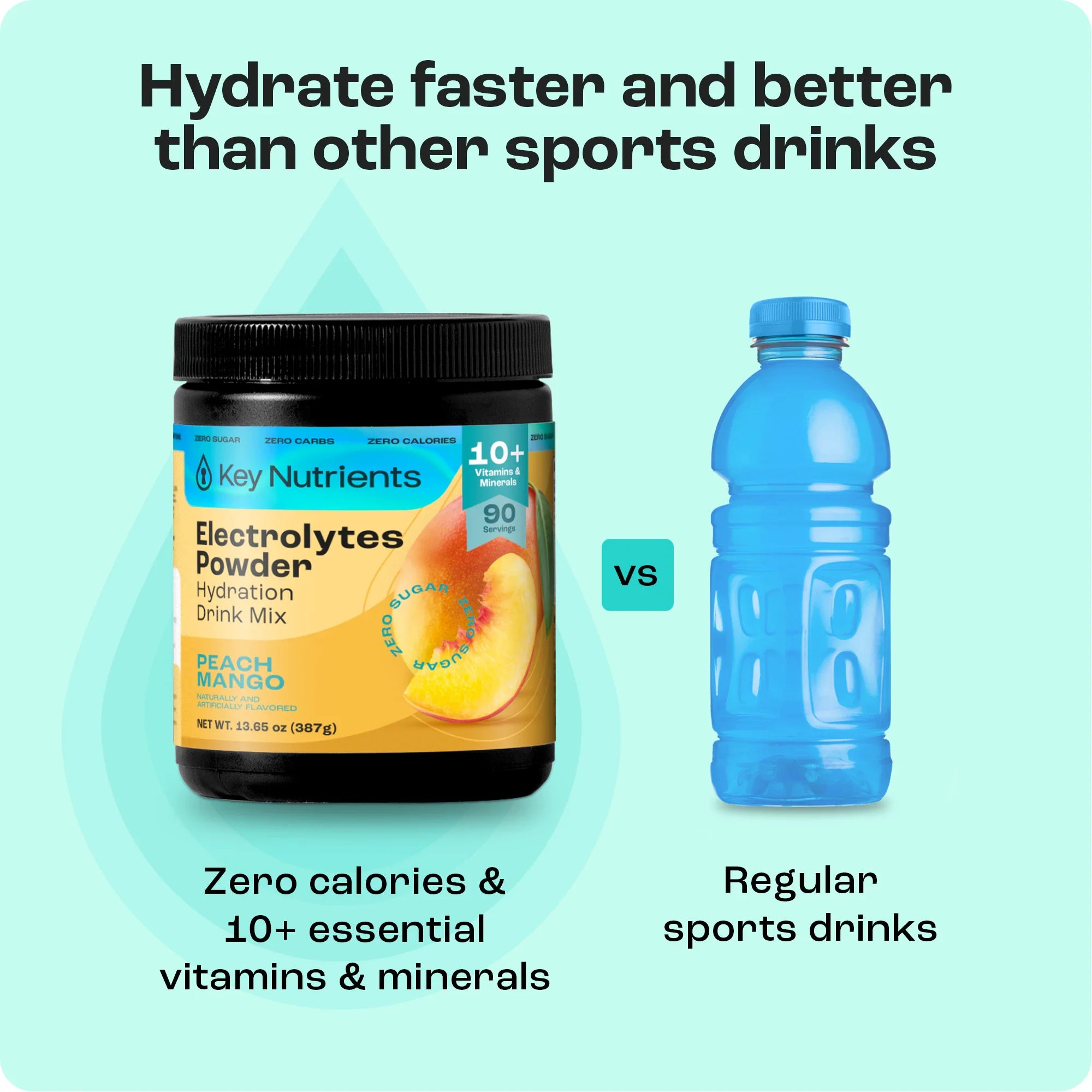 Sugar-Free Electrolyte Recovery Powder